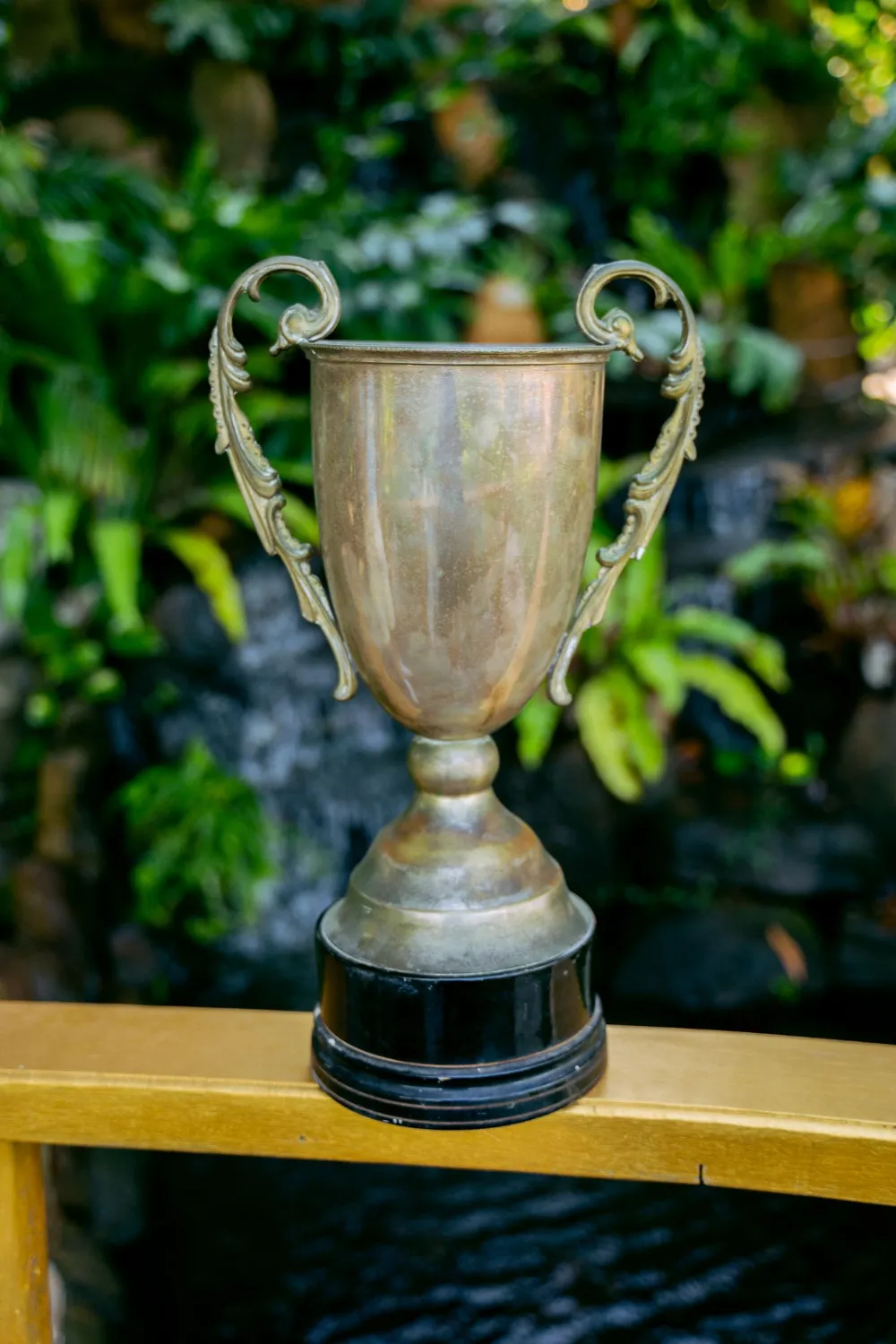 A silver cup standing among green leaves