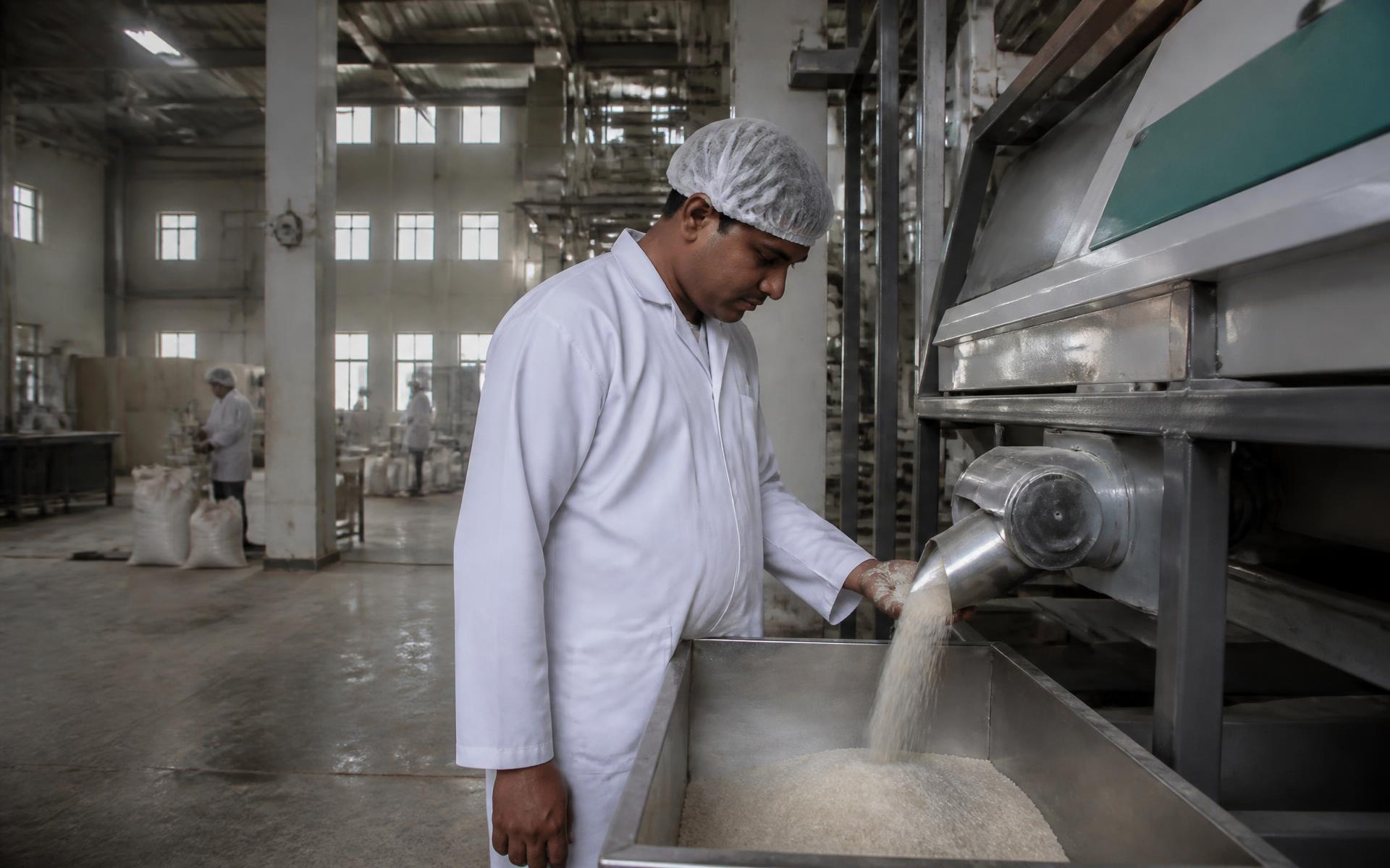Rice being processed on a stainless steel line inside a food manufacturing facility