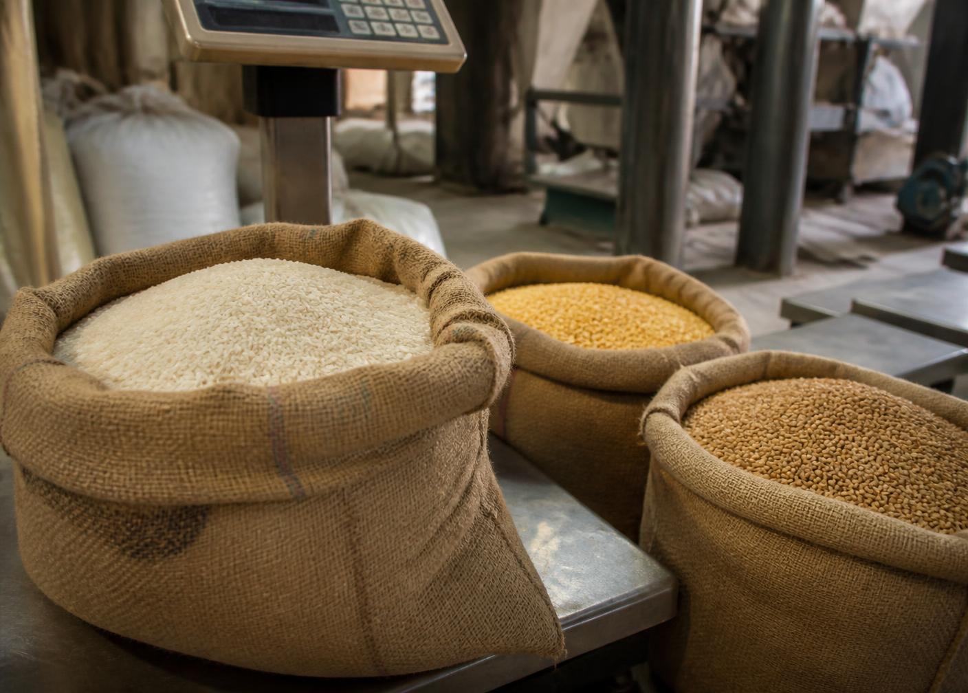 Inside a food processing plant
