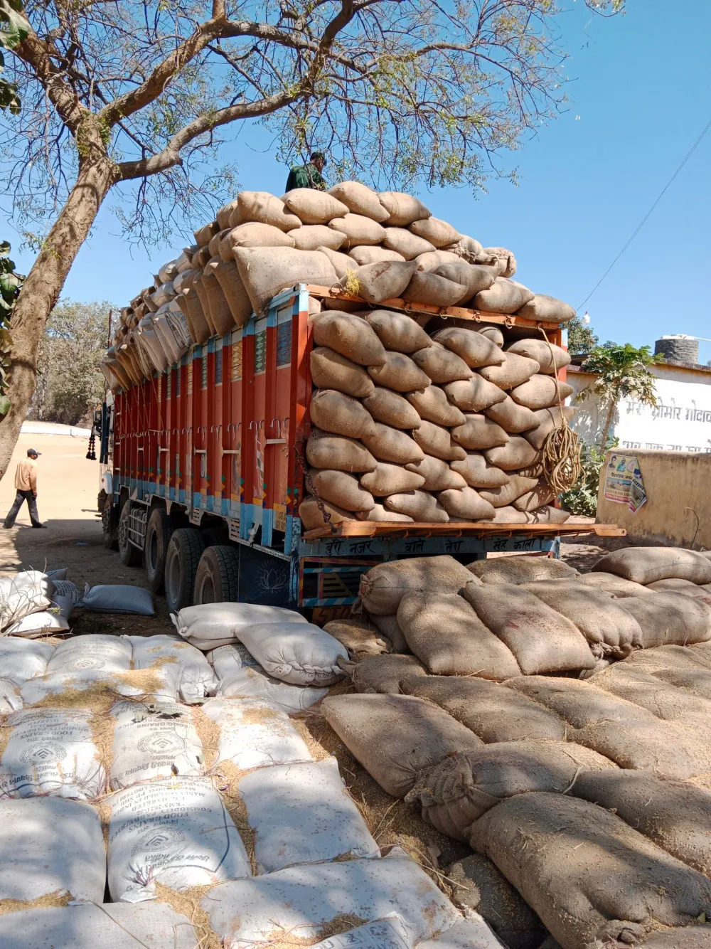 A truck loaded high with sacks of grain, ready for the road